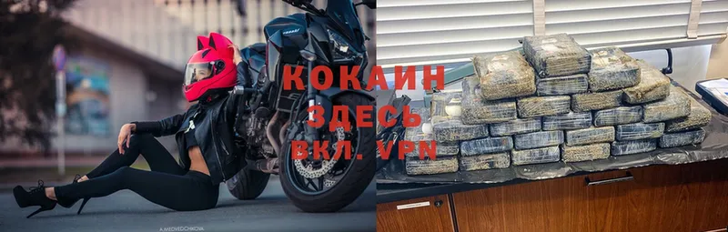 COCAIN Перу Кисловодск